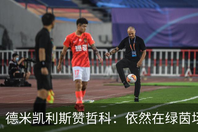德米凯利斯赞哲科：依然在绿茵场上挥洒激情